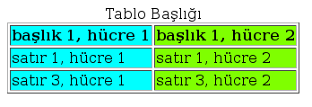 Table Tagı Nasıl Kullanılır?