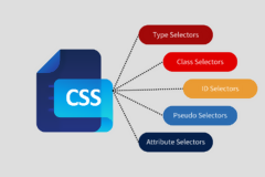 CSS Se&ccedil;icileri
